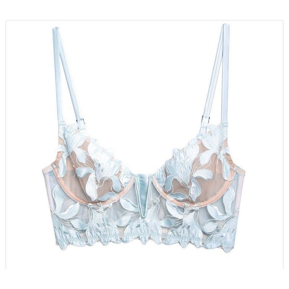 Fleur du Mal Lily Embroidered Sheer Mesh Coquette Silk Glacier Bra Size 42DD NWT